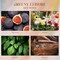 Fig Citrus Floral Scent Soy Wax Aesthetic Candles - 10.2 oz | Natural Fragrance for Home &Book Candles | for Housewarming, Hostess Gifts,Stress Relief 3.15"W x 3.94"H